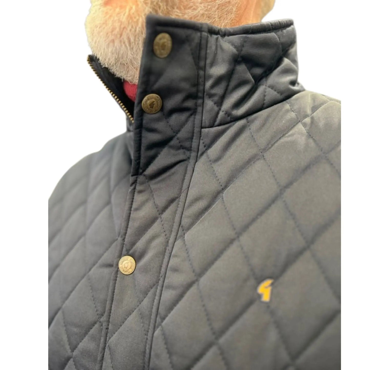 Buy Gabicci Vintage Beltram Padded Coat - Navy | Coatss at Woven Durham