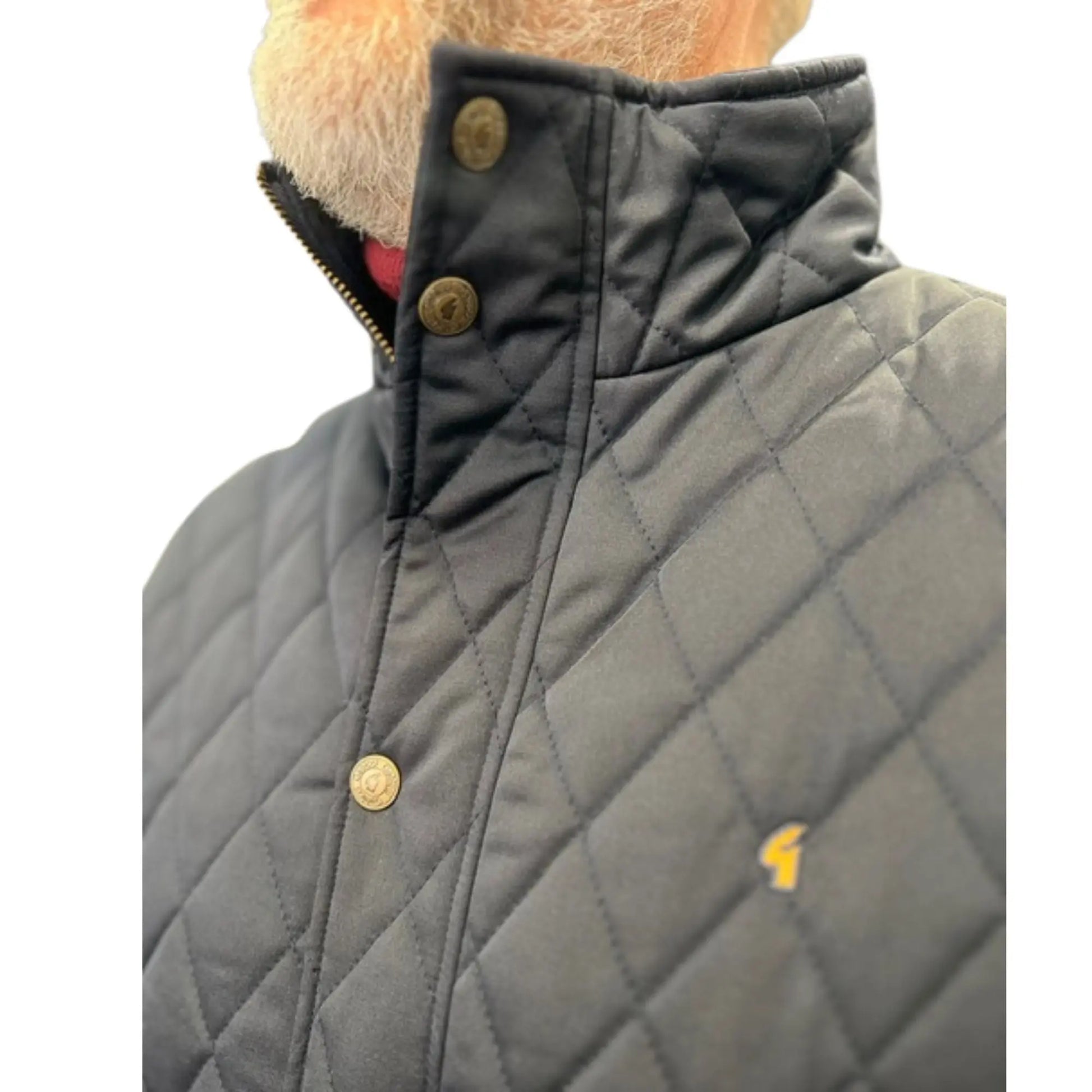 Buy Gabicci Vintage Beltram Padded Coat - Navy | Coatss at Woven Durham