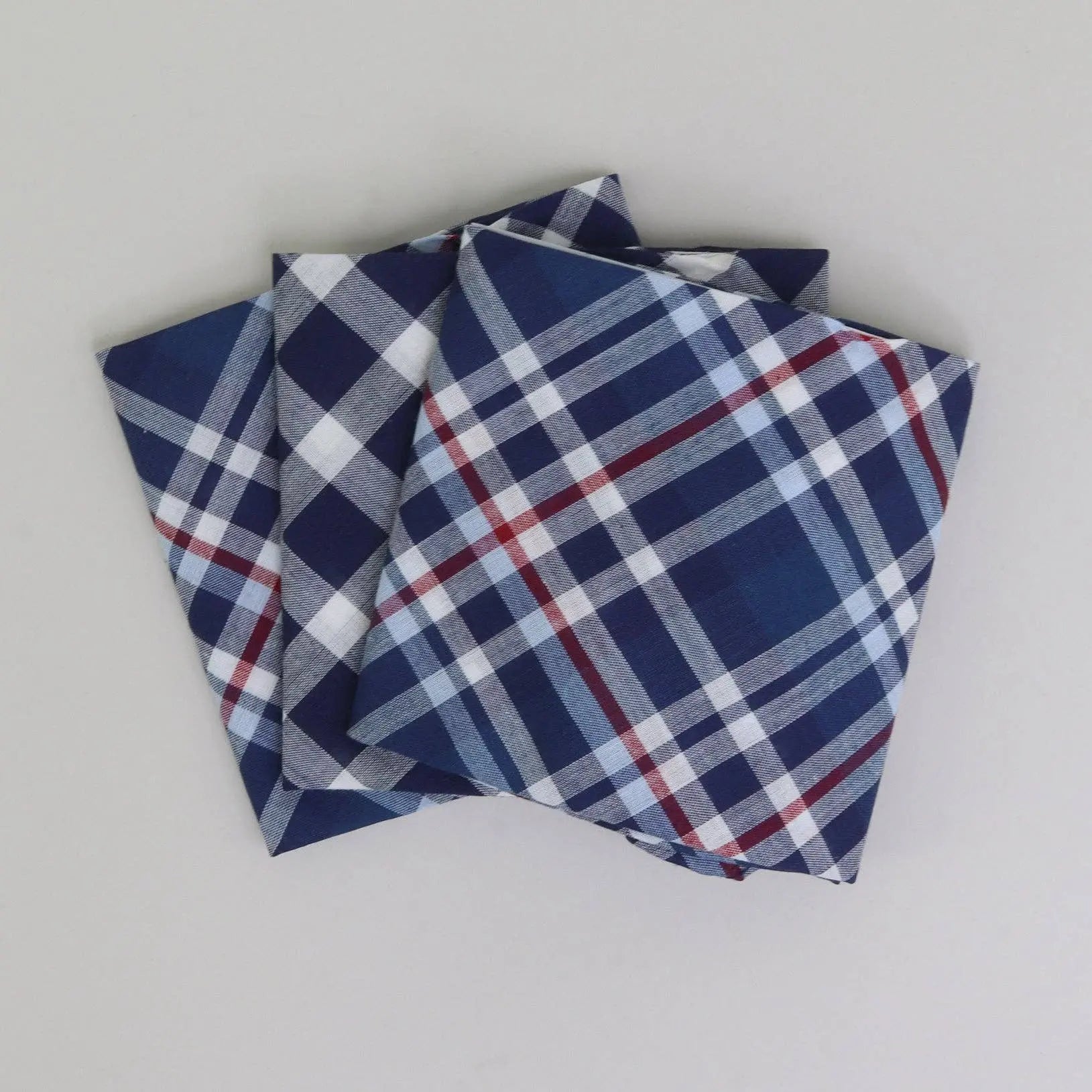 Buy Sophos Blue/White Check Handkerchiefs | s at Woven Durham