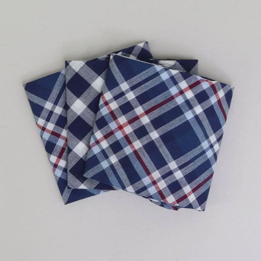 Buy Sophos Blue/White Check Handkerchiefs | s at Woven Durham