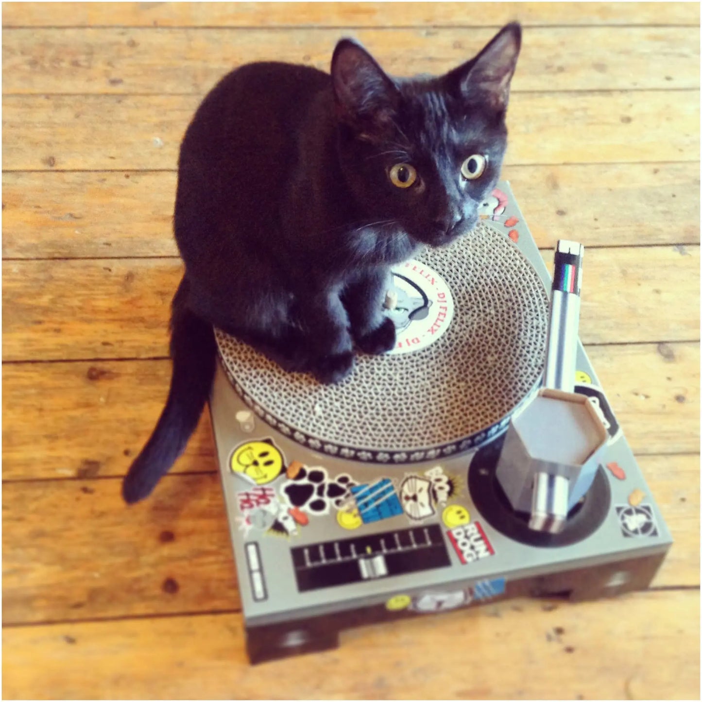 Buy SUCK UK Cat Scratch DJ Decks | Cat Toyss at Woven Durham