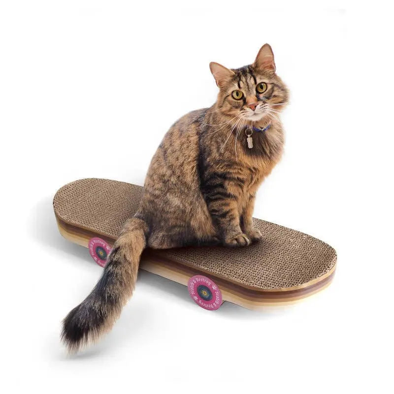 Buy SUCK UK Cat Scratch Skateboard | Cat Toyss at Woven Durham