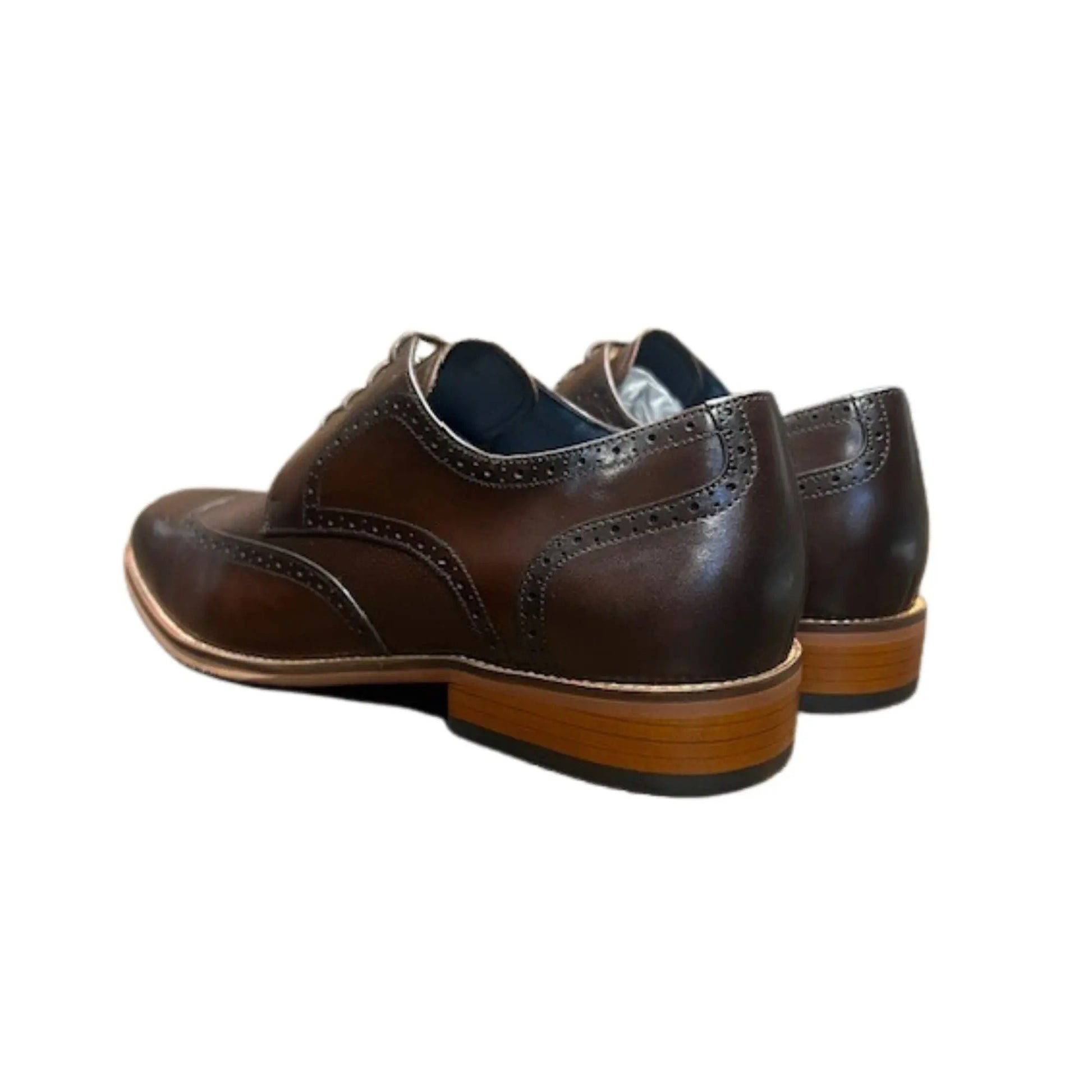 Buy Sergio Duletti Rico Brogues - Coffee | Brogue Shoess at Woven Durham