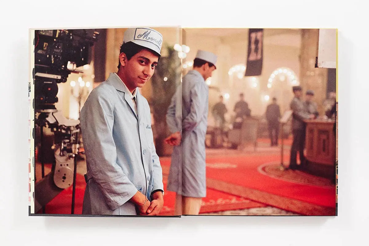 Buy Abrams & Chronicle Books The Wes Anderson Collection: The Grand Budapest Hotel (Hardback) | Books at Woven Durham
