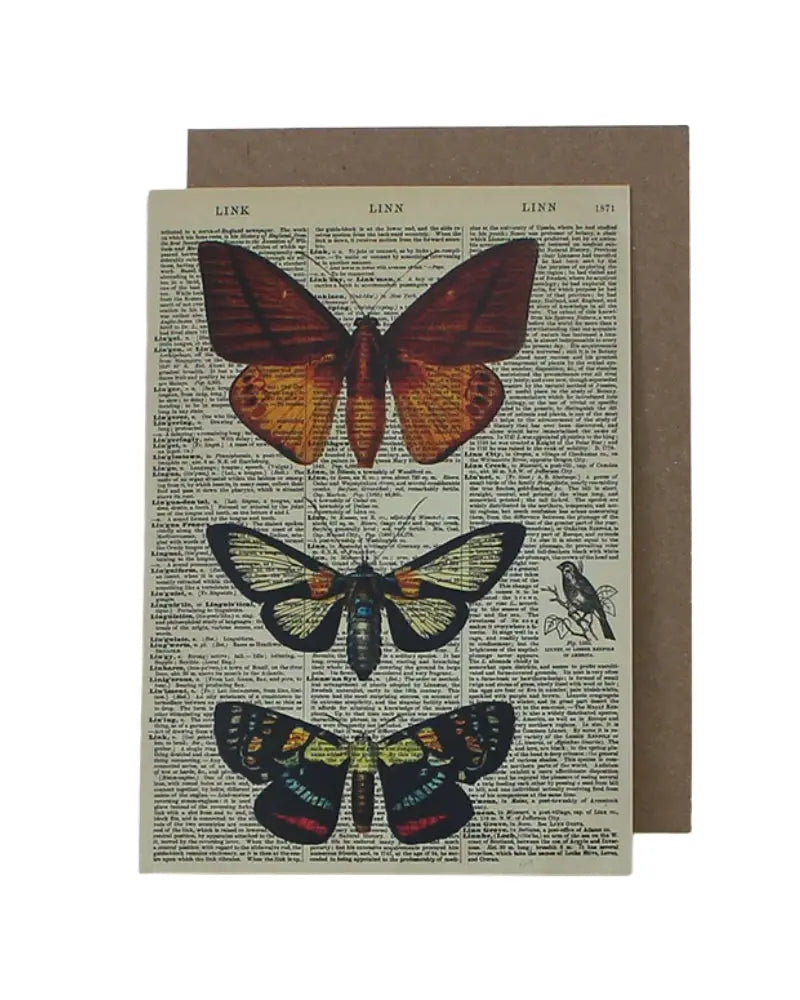 Buy WeAct Company Butterfly Dictionary Greetings Card | Greetings Cardss at Woven Durham