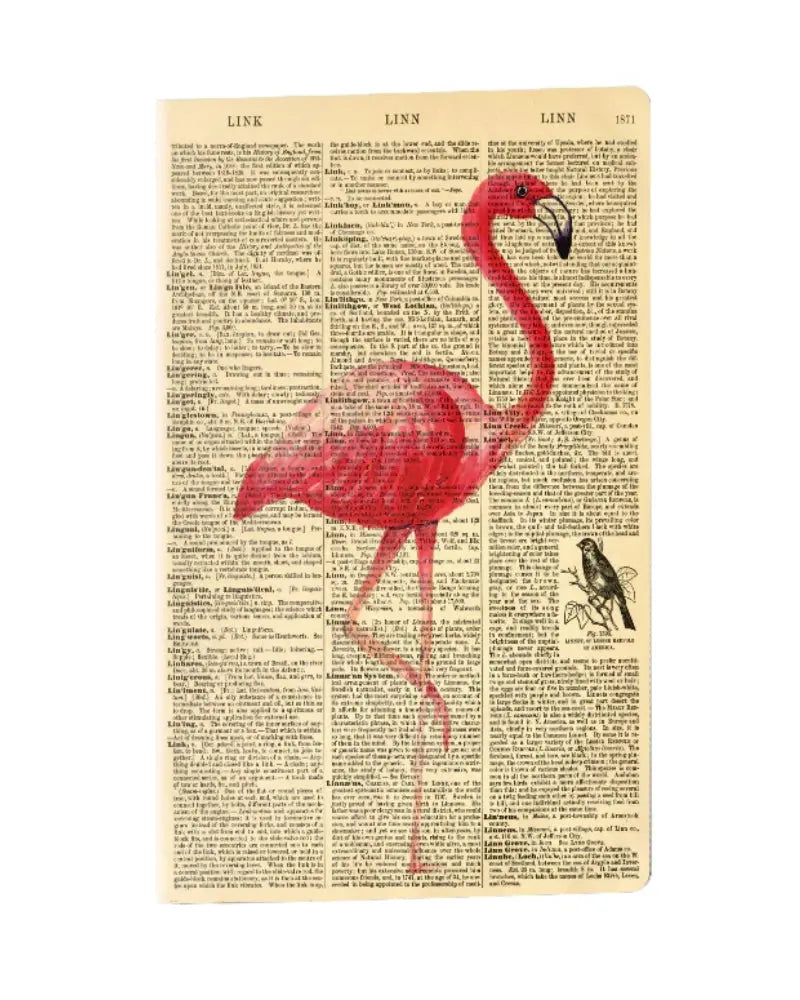 Buy WeAct Company Flamingo Dictionary A5 Lined Notebook | Notebookss at Woven Durham