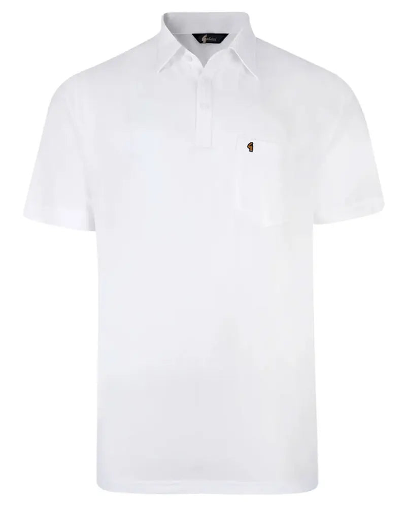 Buy Gabicci Vintage Ladro White Button-Down Collar Polo Shirt | Short-Sleeved Polo Shirtss at Woven Durham