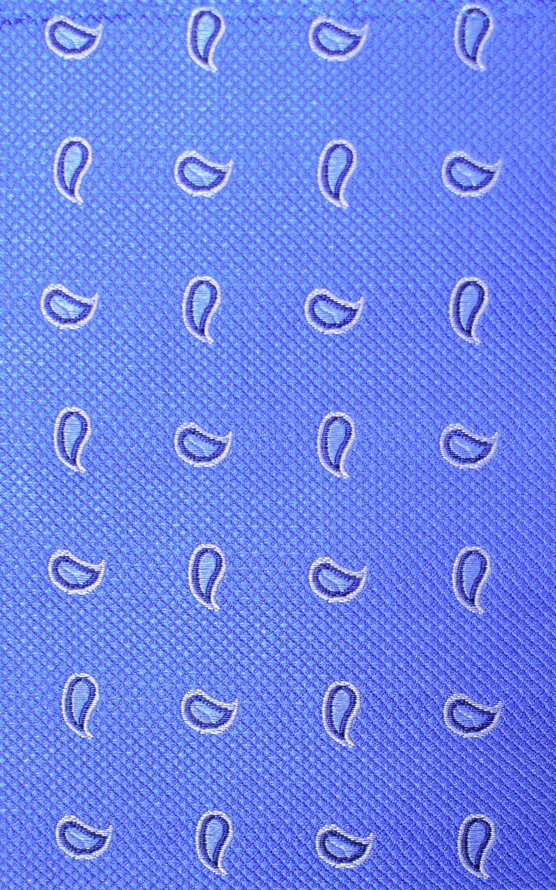 Knightsbridge Neckwear Paisley Silk Tie - Blue From Woven Durham