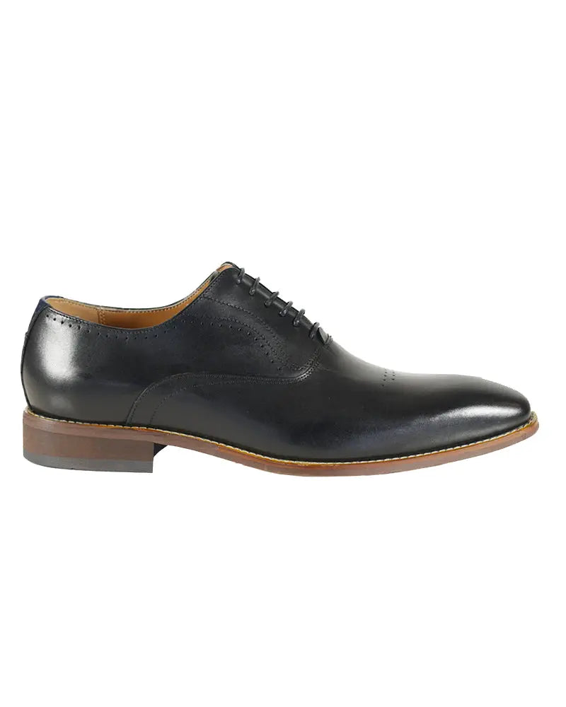 Buy Azor Pompei Semi Brogue Oxford Shoes - Black | Oxford Shoess at Woven Durham