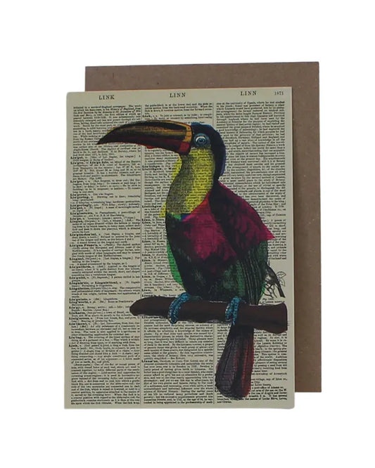Buy WeAct Company Toucan Dictionary Blank Greetings Card | Greetings Cardss at Woven Durham